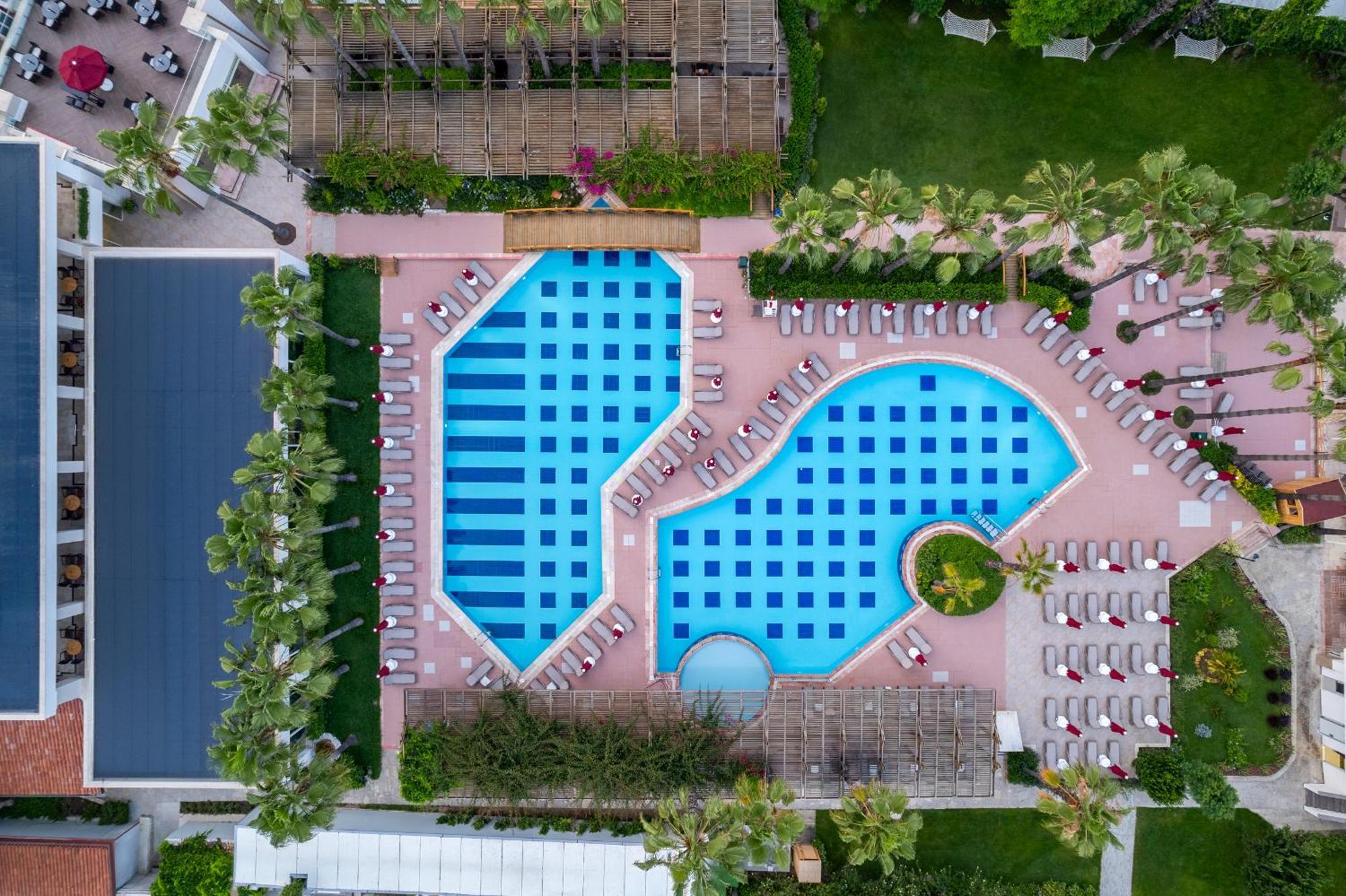 Trendy Palm Beach Adults Only シダ エクステリア 写真